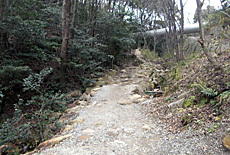 清掃活動
